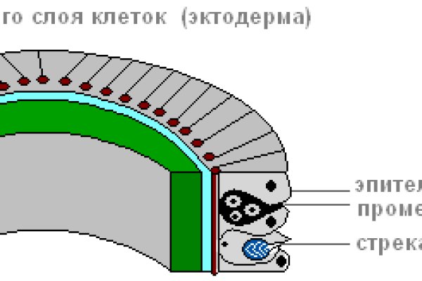Кракен ссылка прокатис