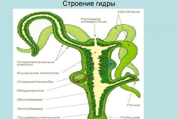 Официальный сайт даркнета