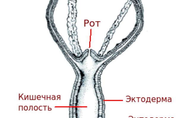 Кракен зайти зеркало